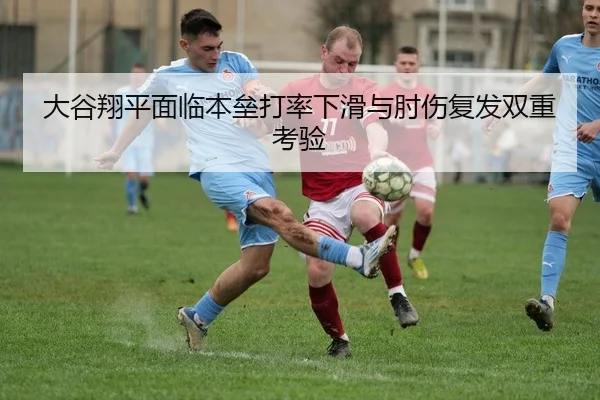 da-gu-xiang-ping-mian-lin-ben-lei-da-lv-xia-hua-yu-zhou-shang-fu-fa-shuang-chong-kao-yan-2-528.jpg