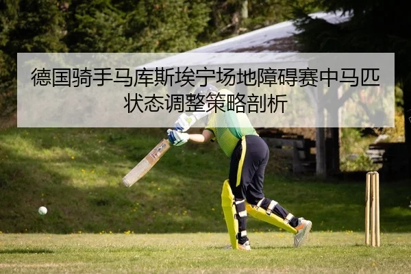 德国骑手马库斯埃宁场地障碍赛中马匹状态调整策略剖析